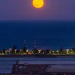 Al Chiaro Di Luna *